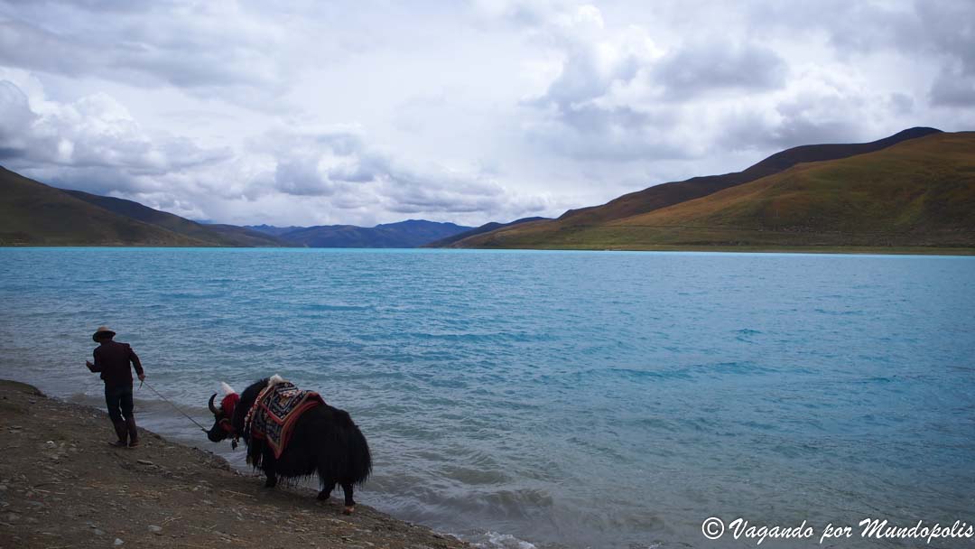 lago-yamdrok-tibet