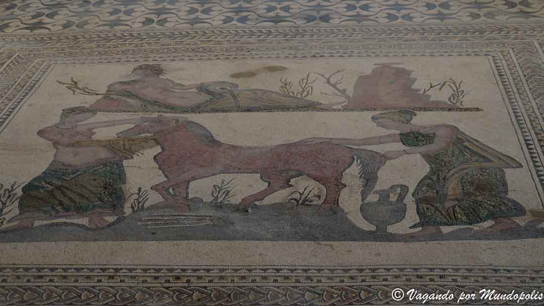 villa-romana-almenara-adajas-puras