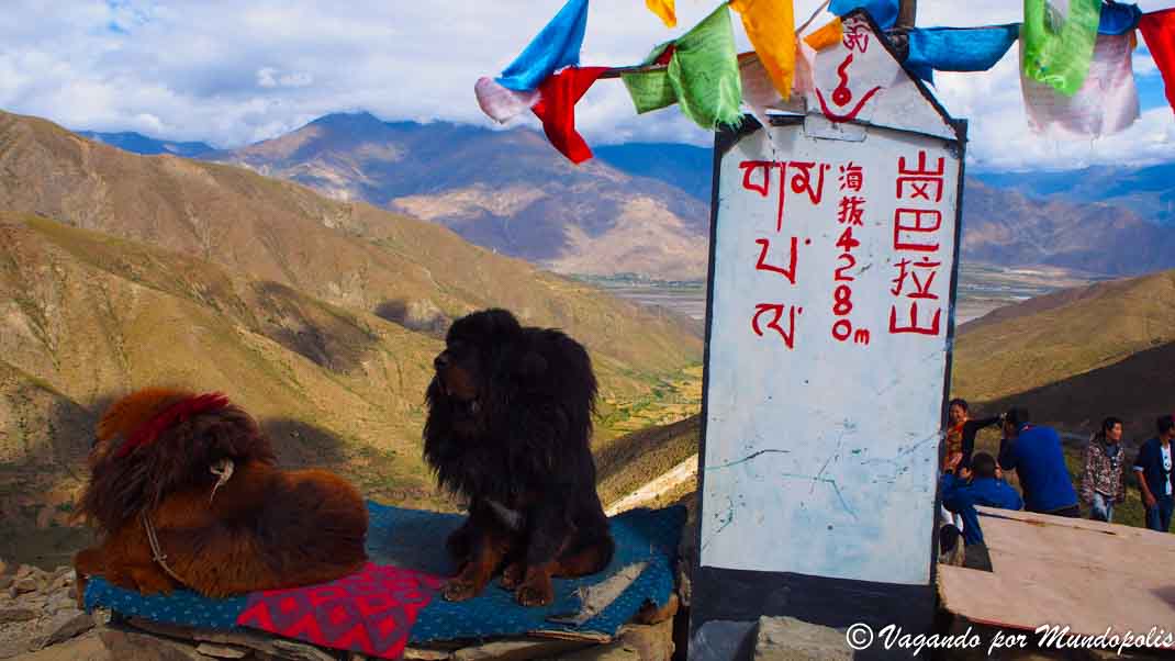 gangba-la-pass-tibet
