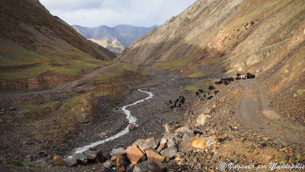 montañas-tibet
