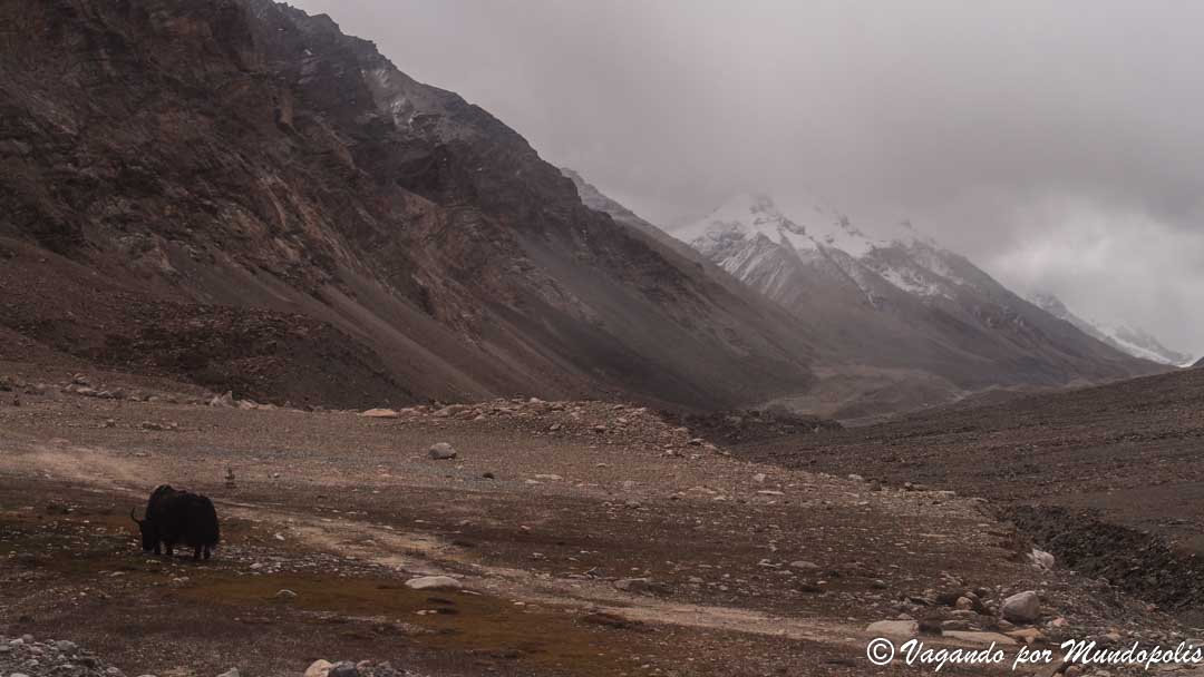 pasos-montaña-tibet