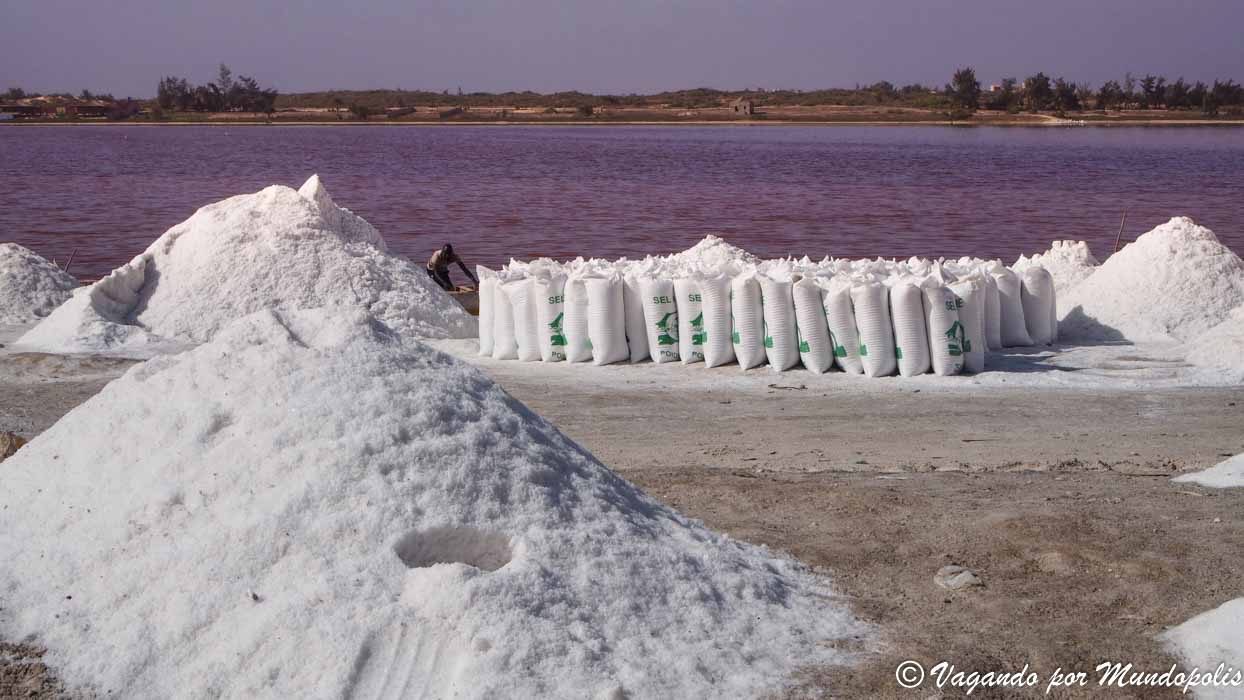 lago-rosa-senegal