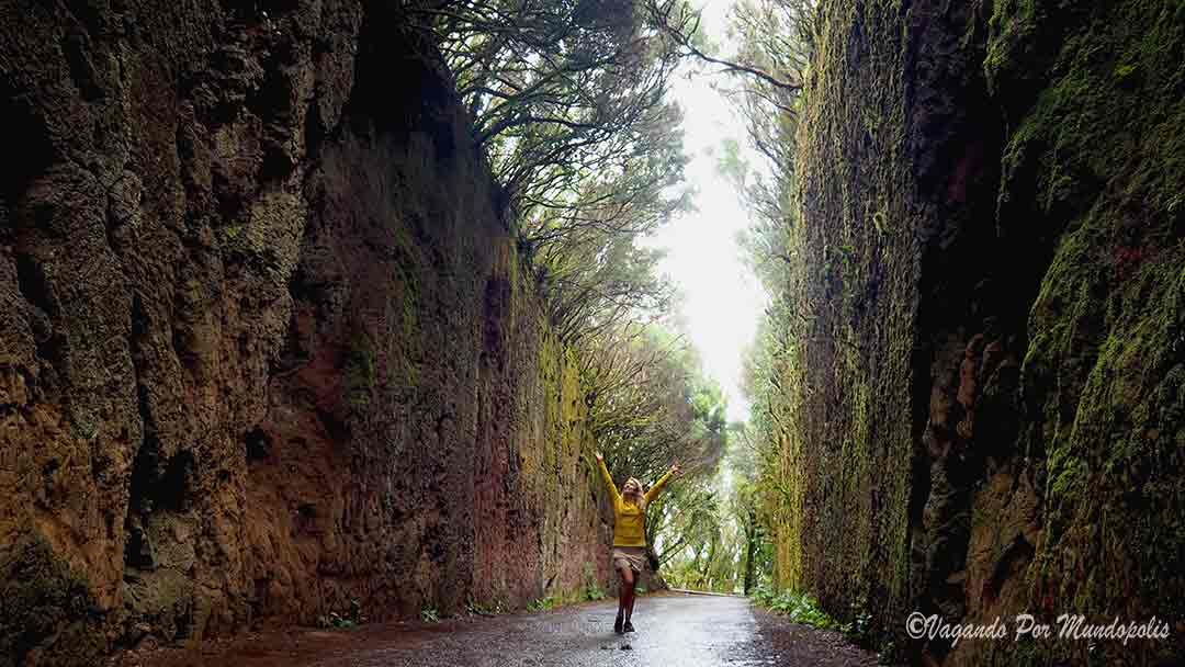 ruta-siete-dias-tenerife