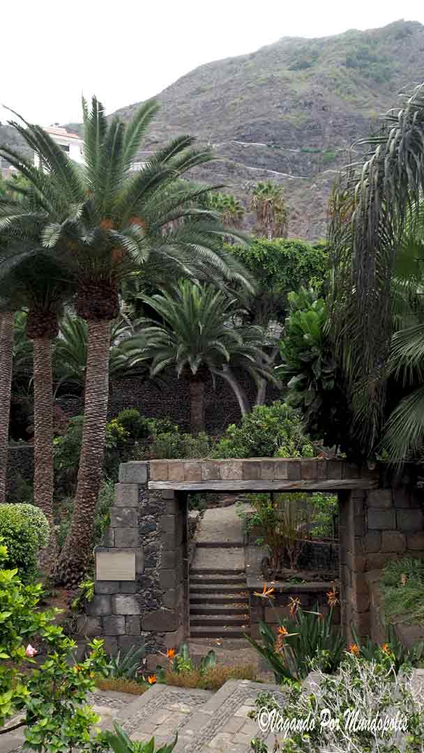 que-ver-en-siete-dias-en-tenerife-garachico