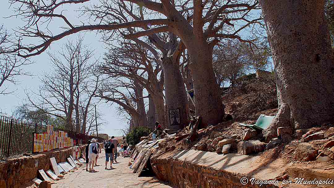 que-ver-en-la-isla-de-goree