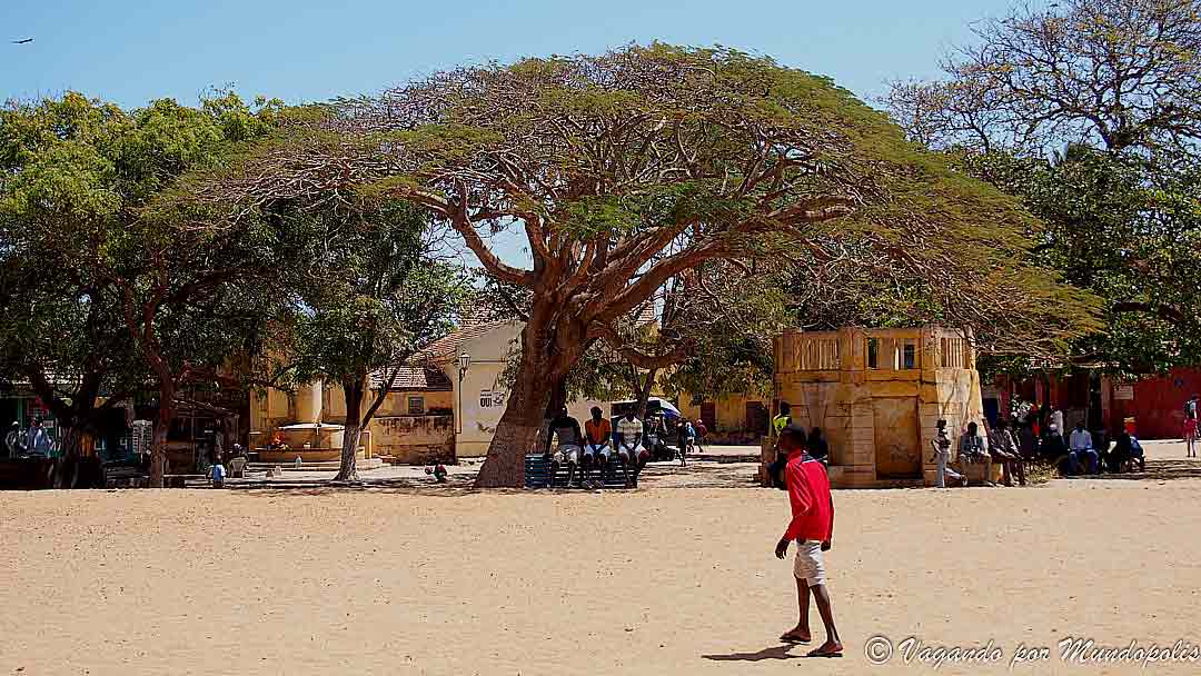 que-ver-en-la-isla-de-goree