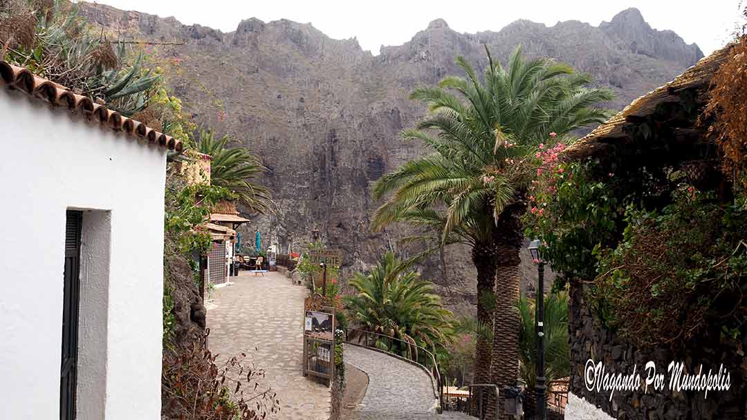 que-ver-en-siete-dias-en-tenerife-masca