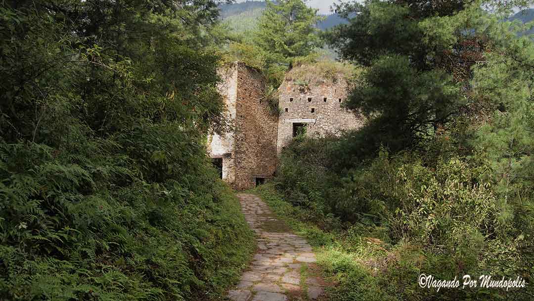 drukgyel-dzong-paro-butan