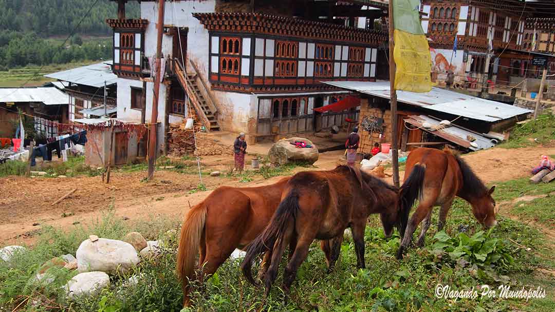 drukgyel-dzong-paro-butan