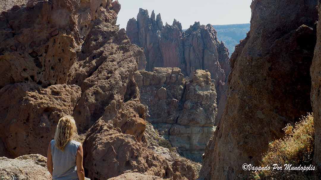 que-ver-en-siete-días-en-Tenerife-parque-nacional-teide