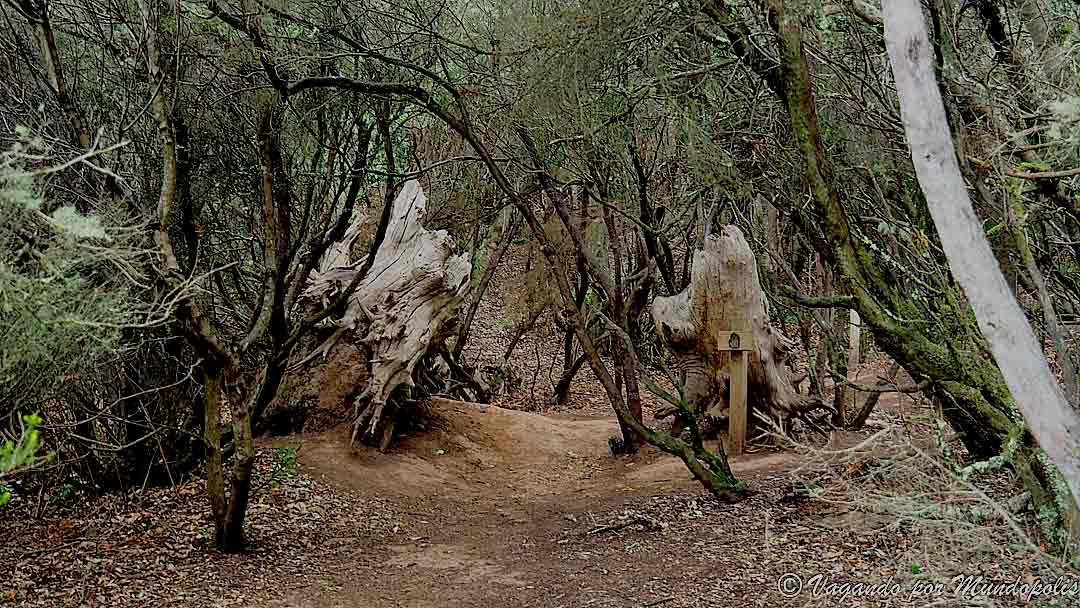 sendero-de-los-sentidos