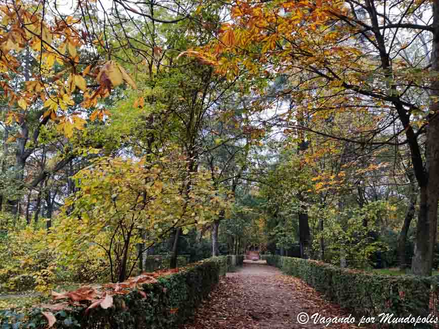 parques-de-madrid-el-retiro