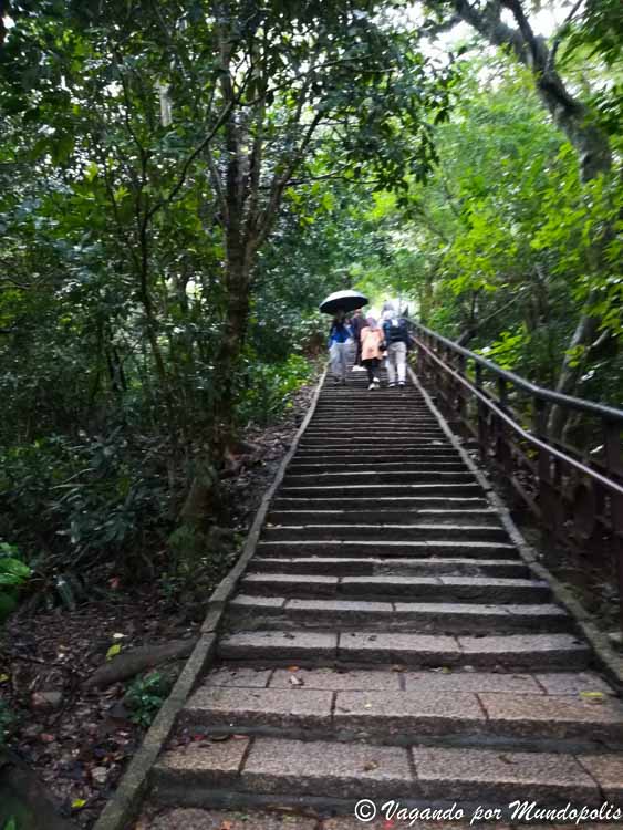 que-hacer-en-taipei-elephant-mountain
