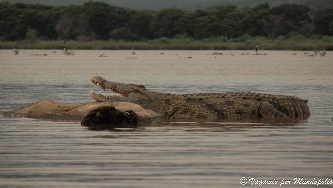 lago-chamo-etiopia