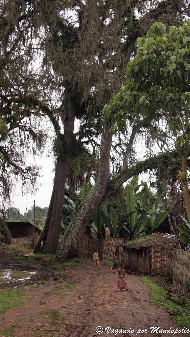 dorze-arba-minch-etiopia