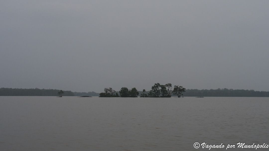 que-hacer-en-kuching-delfines-irawaddy