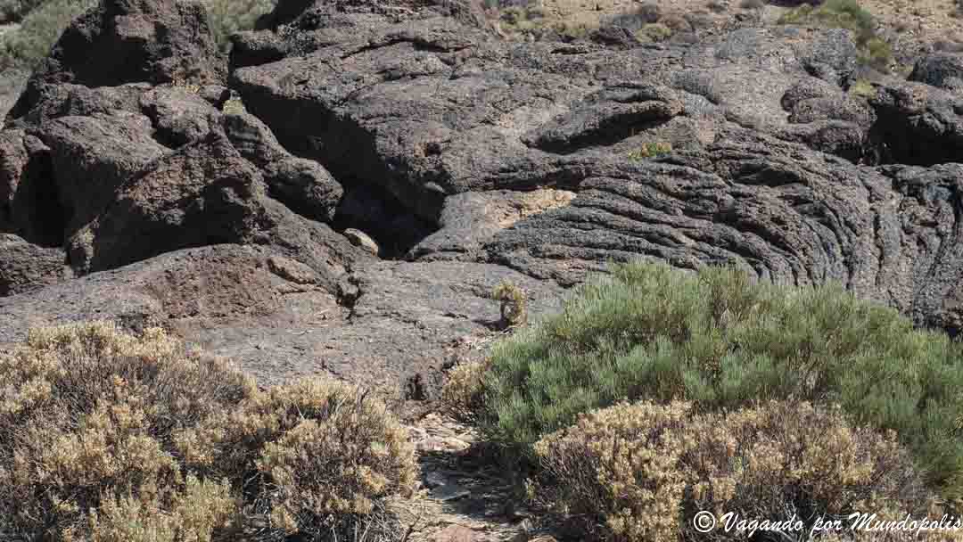 roques-de-garcia-sendero-3-teide