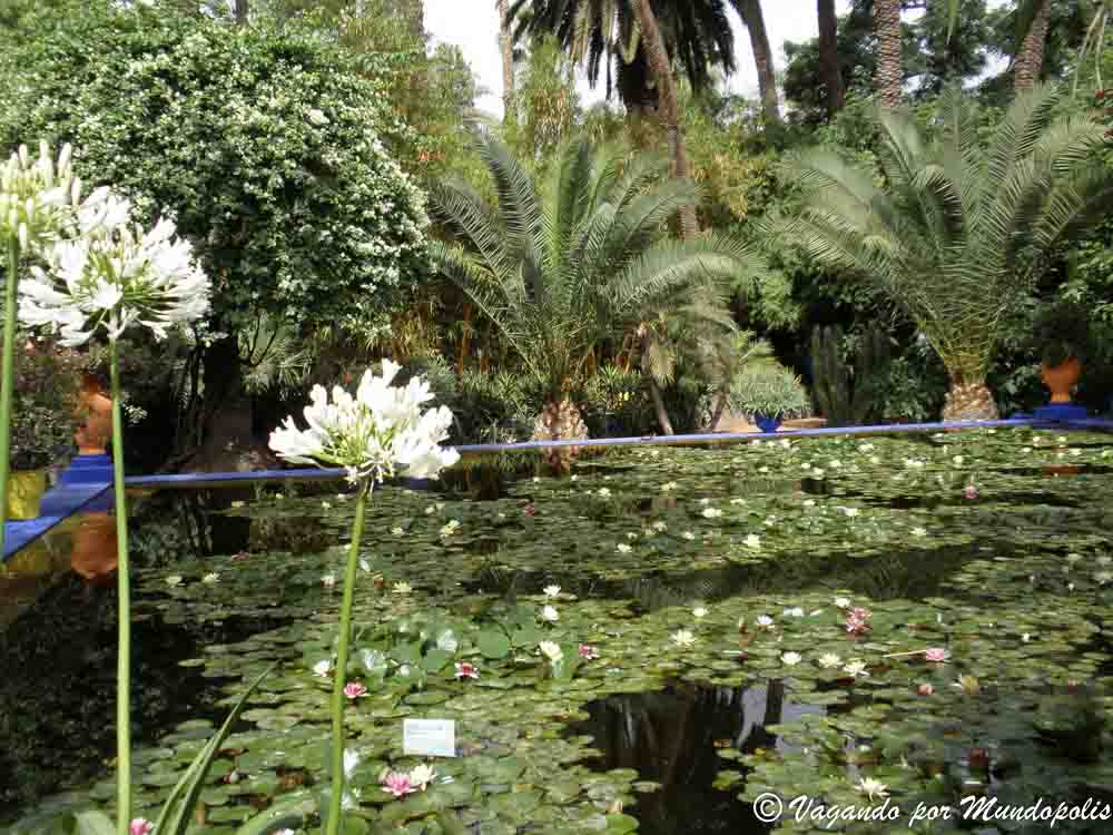 que-hacer-en-marrakech-jardines-majorelle