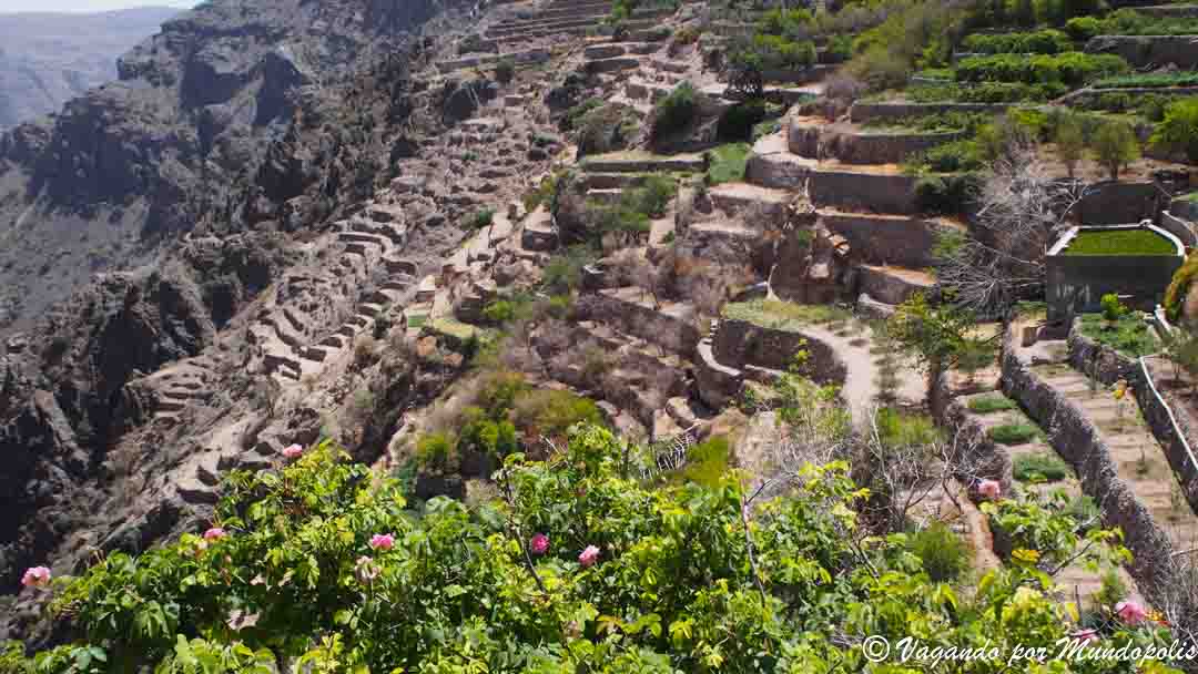 que-hacer-en-nizwa-jebel-akdar