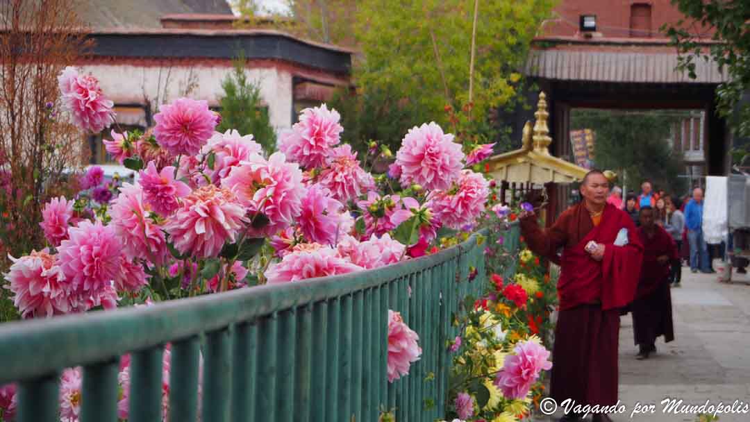 monasterio-pelkor-gyantse-tibet