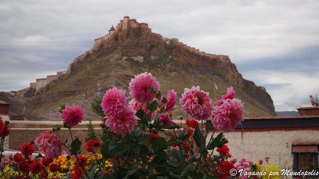 que-ver-en-gyantse-tibet