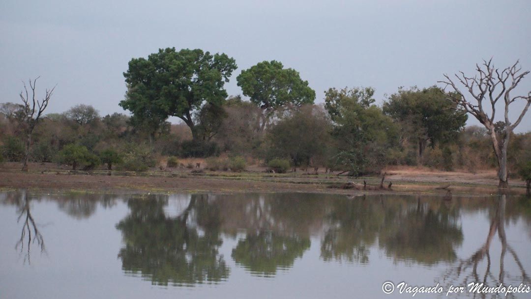 reserva-nazinga-burkina-faso