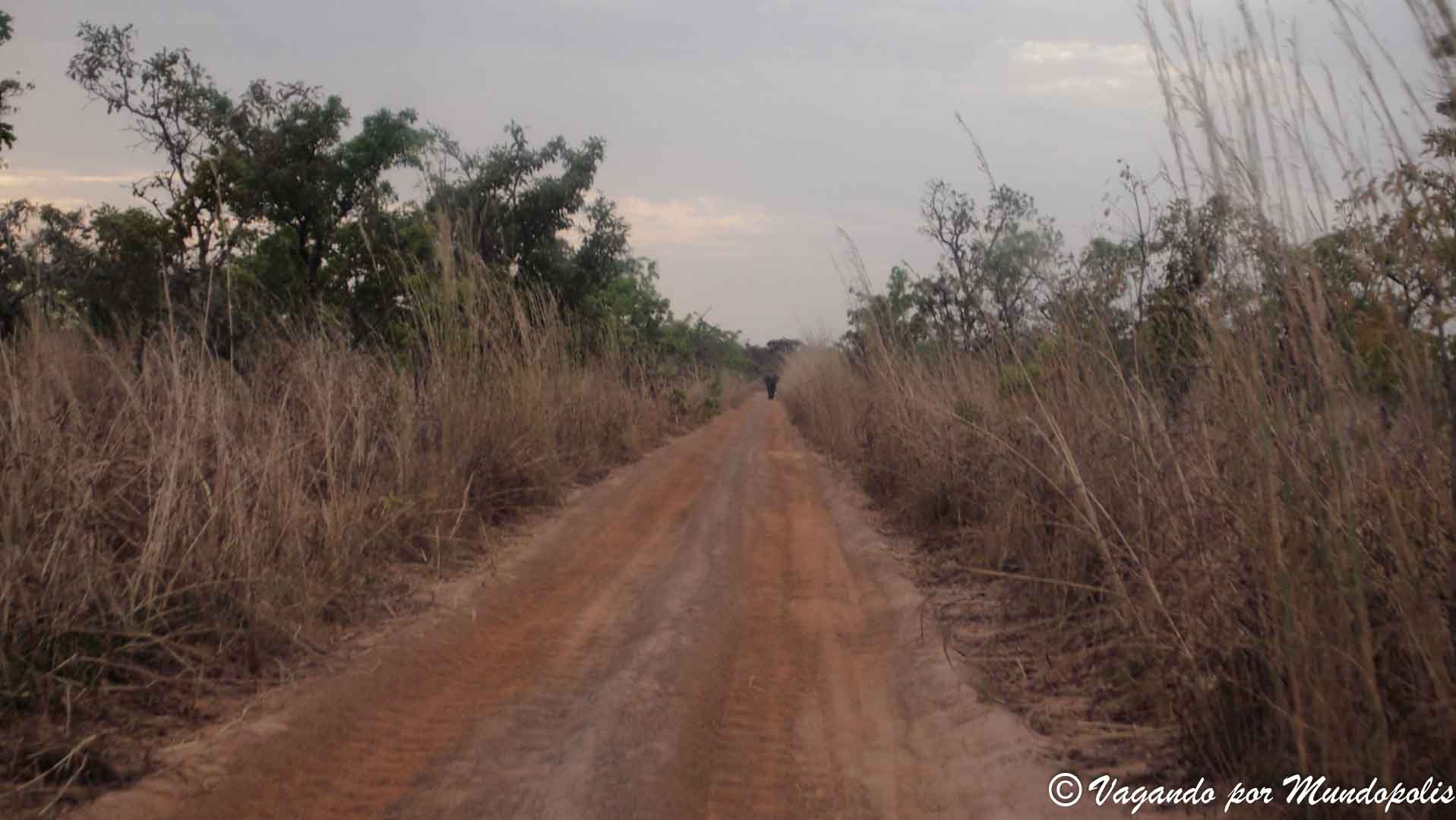 reserva-nazinga-burkina-faso