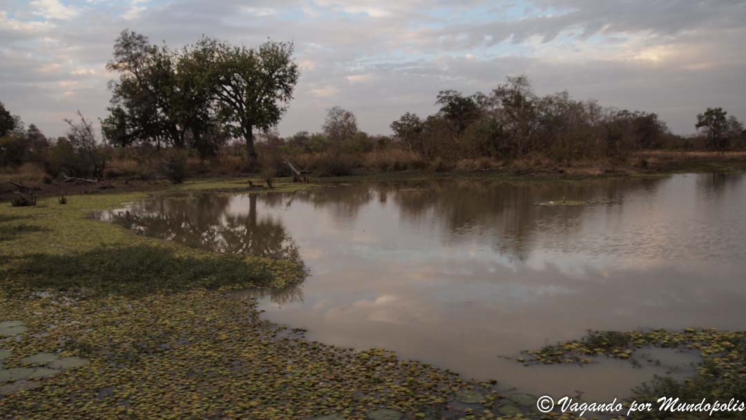 reserva-nazinga-burkina-faso