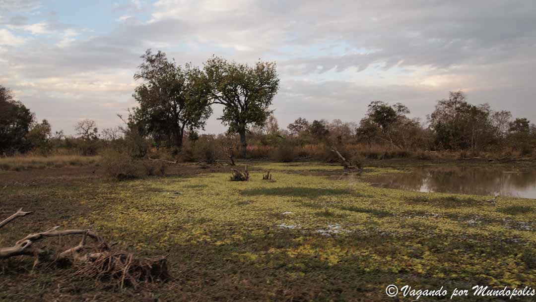 reserva-nazinga-burkina-faso