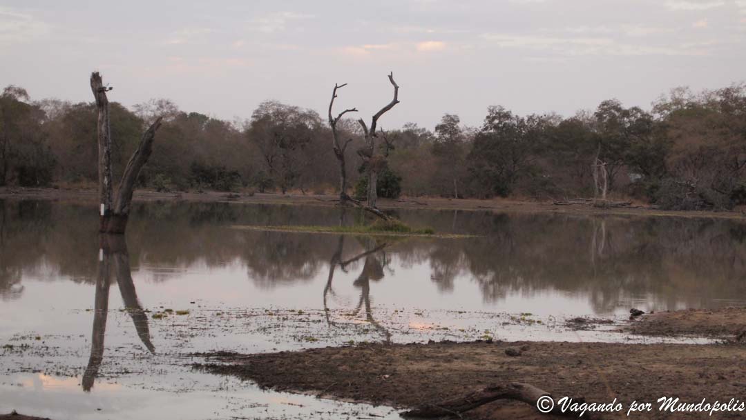 reserva-nazinga-burkina-faso