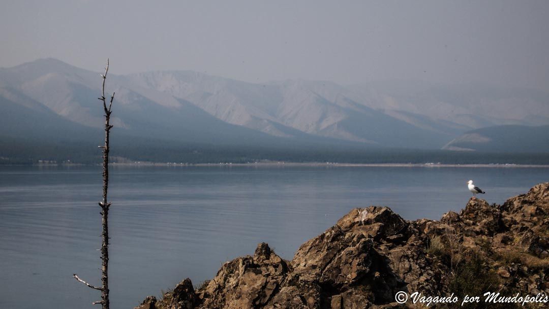 kvosgol-lake-mongolia