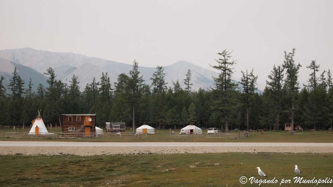 tsataan-mongolia
