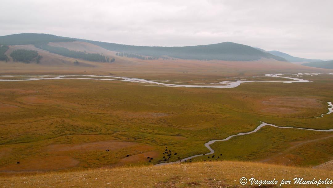 camino-kvosgol-mongolia