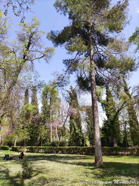 que-ver-en-aranjuez-jardin-del-principe