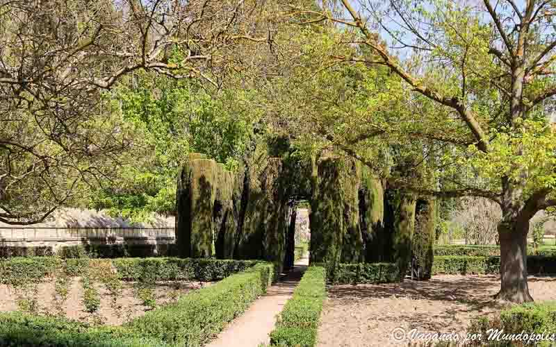que-ver-en-aranjuez-jardin-del-principe