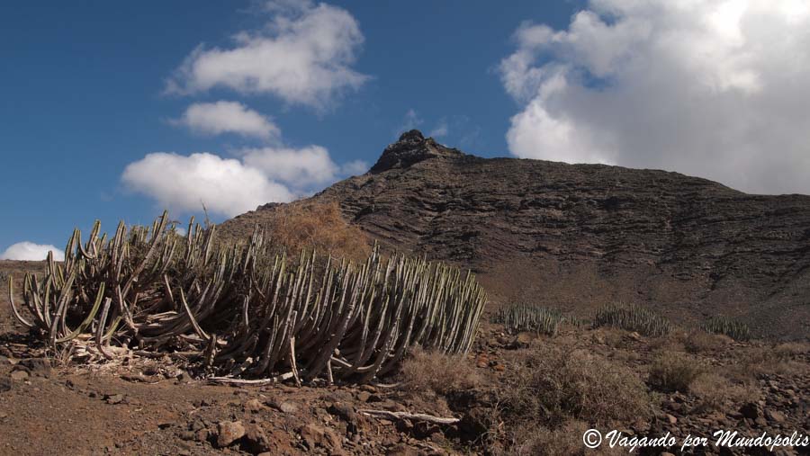 que-ver-en-península-de-jandia-fuerteventura