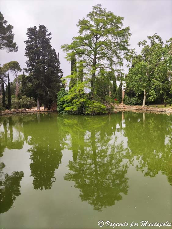 taxodium-parc-sama