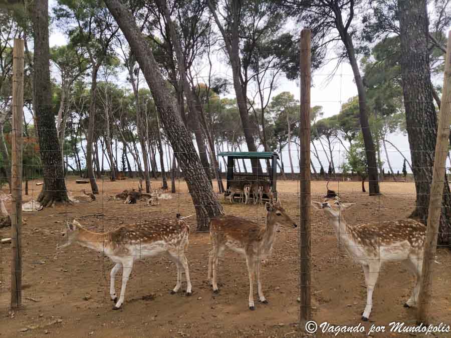 que-ver-en-parc-sama-fotos