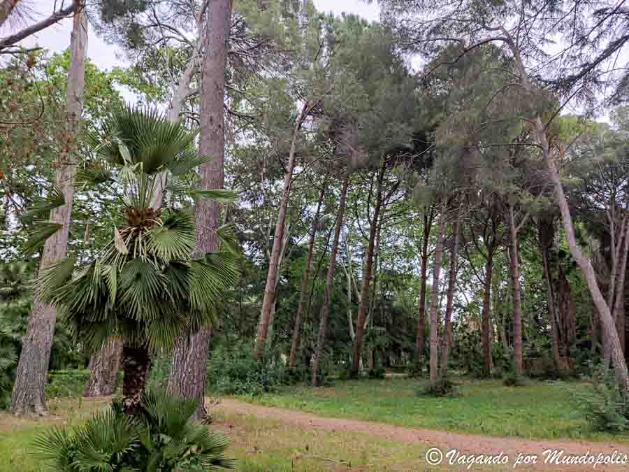 fotos-parc-sama-que-ver