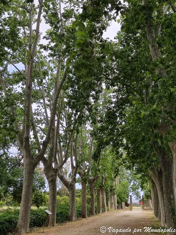 fotos-parc-sama-que-ver