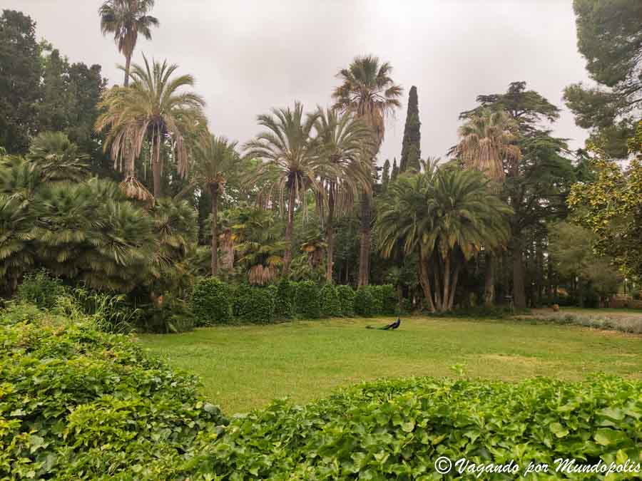 fotos-parc-sama-cambrils-que-ver