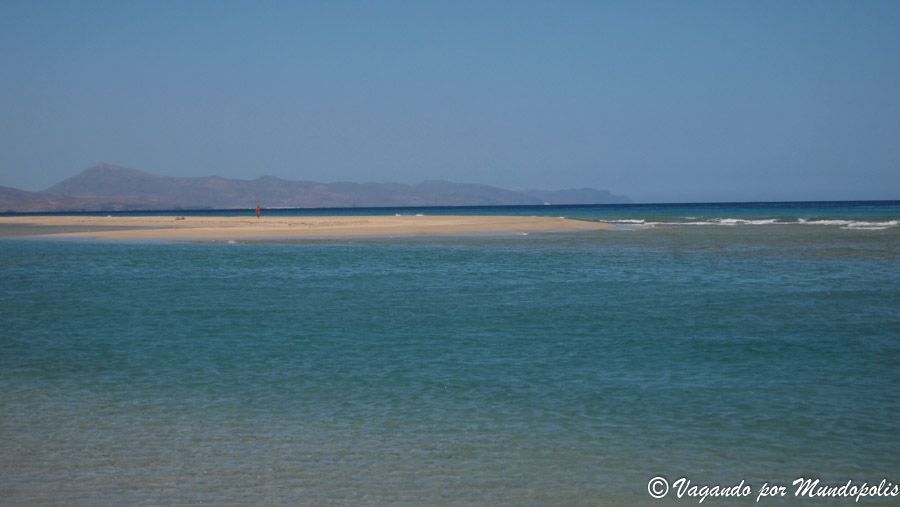 playa-sotavento-fuerteventura