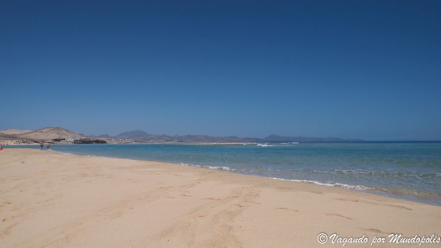playa-sotavento-fuerteventura