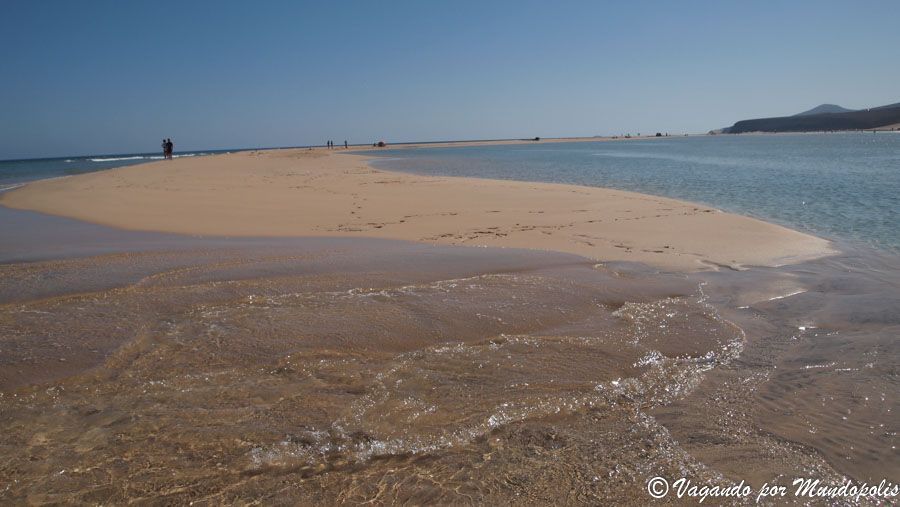 playa-sotavento-fuerteventura