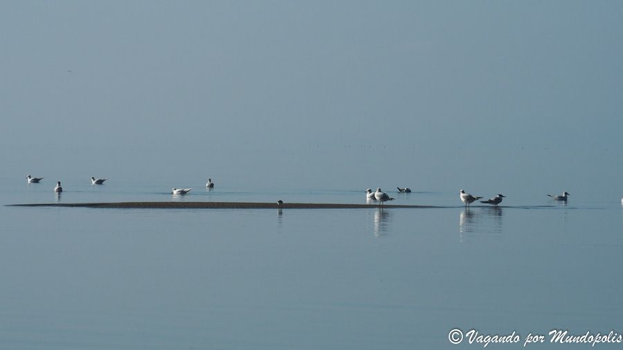 que-hacer-en-cambrils-excursion-delta-ebro