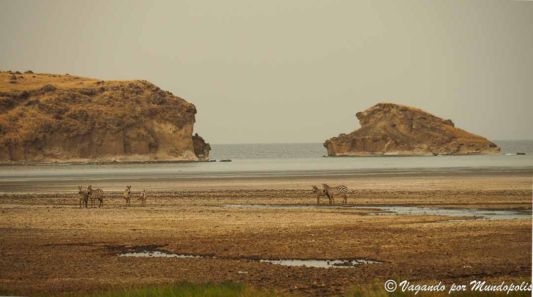 que-ver-lago-natron-tanzania