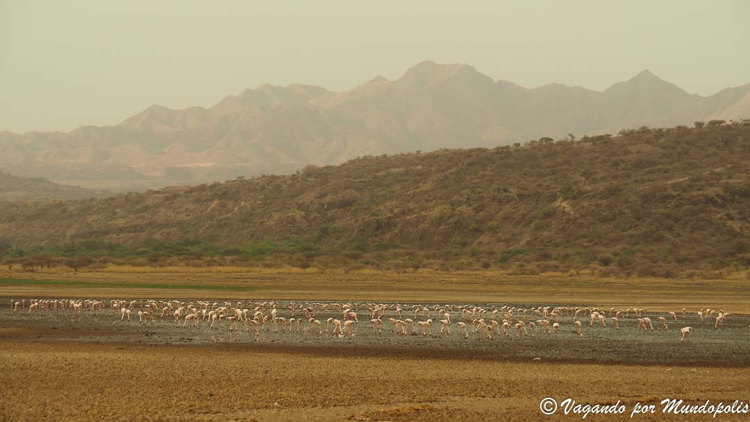 que-ver-lago-natron-tanzania