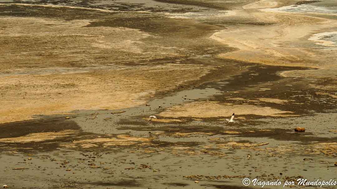 lago-natron-peligroso