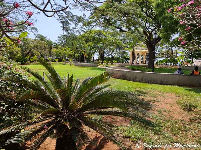 jardines-forodhani-que-ver-en-stone-town