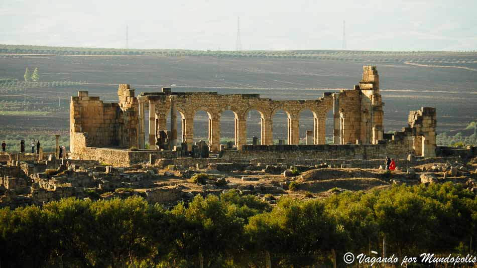 ruinas-romanas-marruecos-volubilis